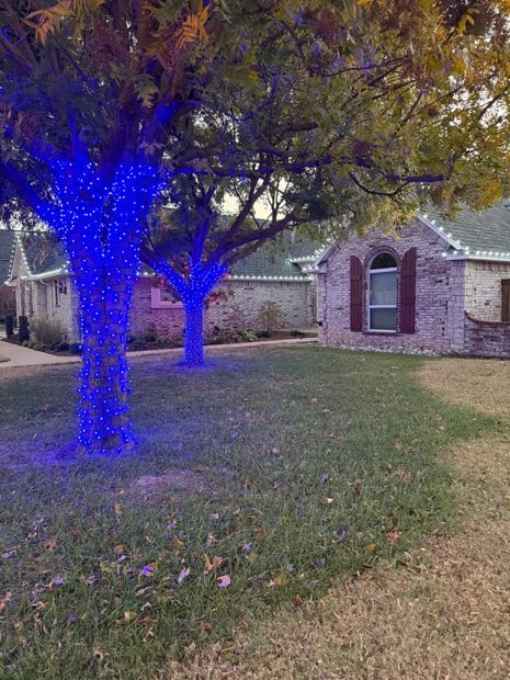 Large tree fully wrapped in blue lights beside a lit home